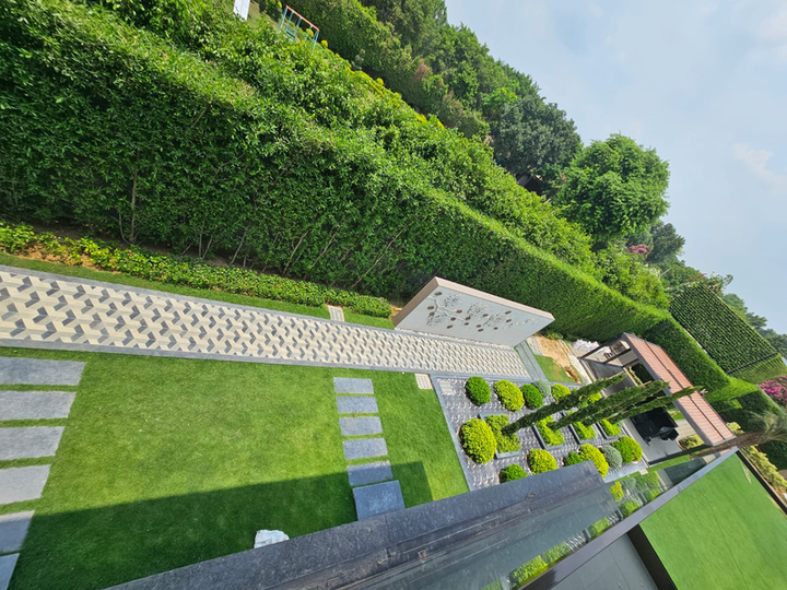 Manicured Lawn project