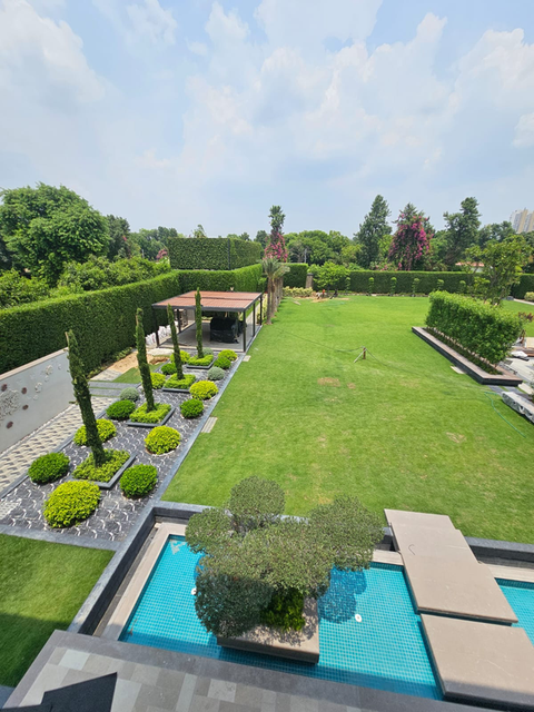 Estate Lawn & Landscape project