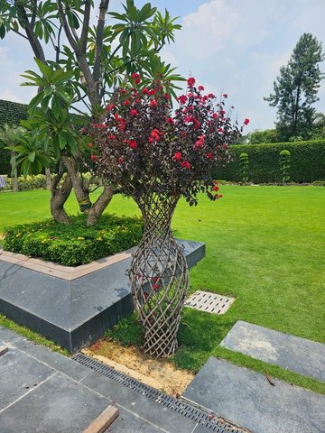Terrace Planters project