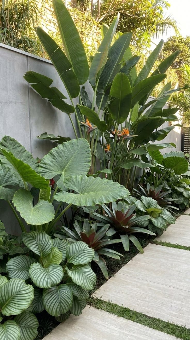 Premium Tropical Landscape Design with Bird of Paradise & Elephant Ear Plants | Metron World Nursery