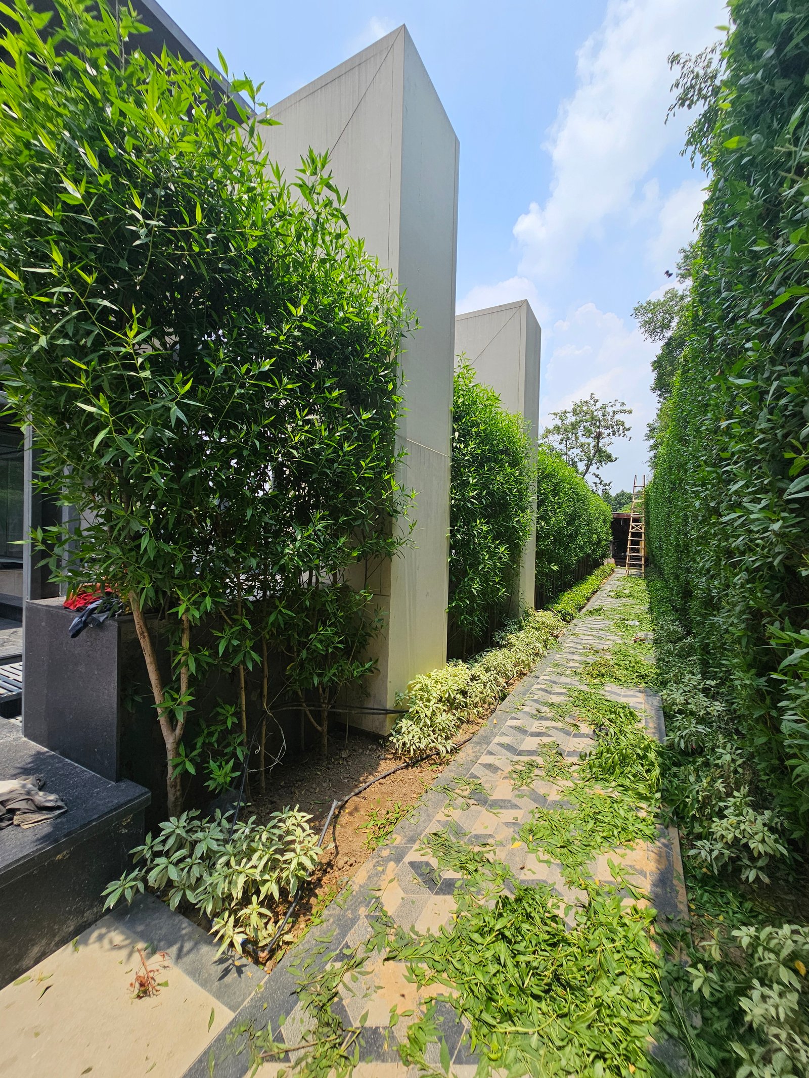 Garden Maintenance