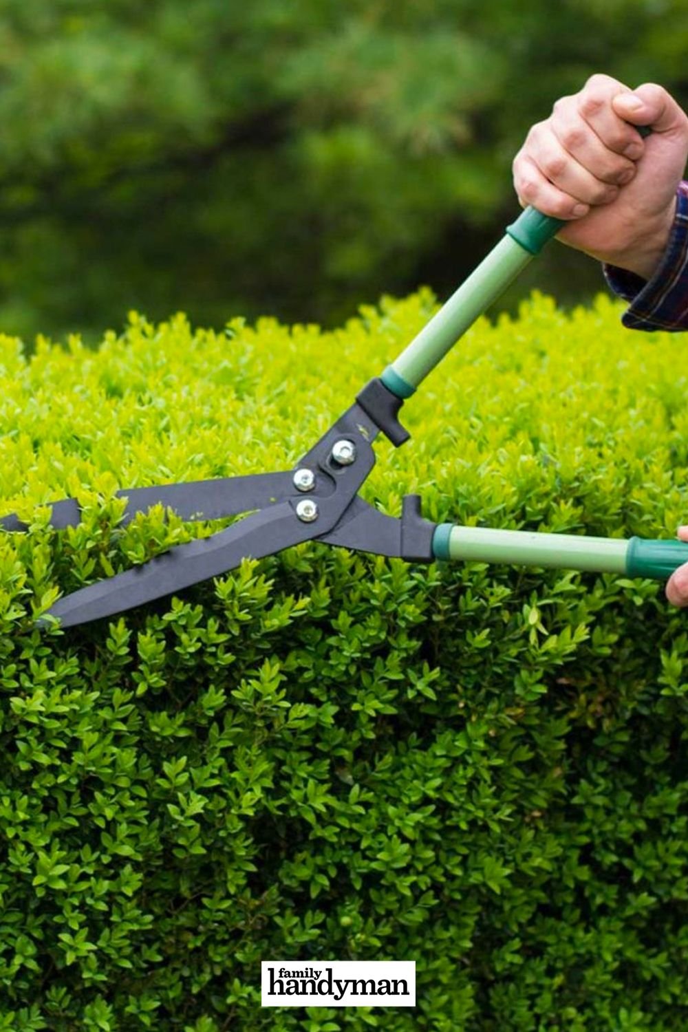 Garden Maintenance