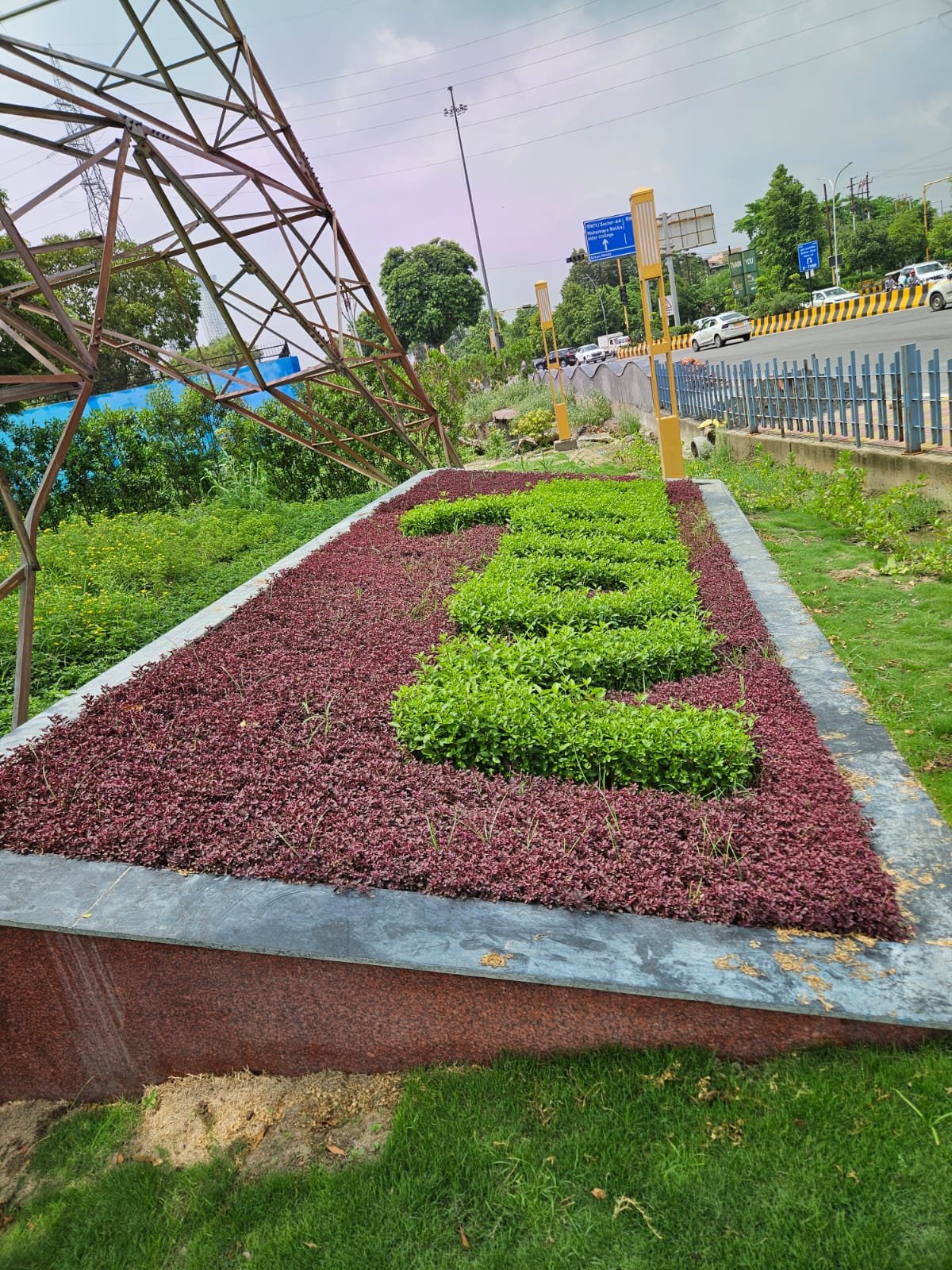 Tree Plantation Drive & Services