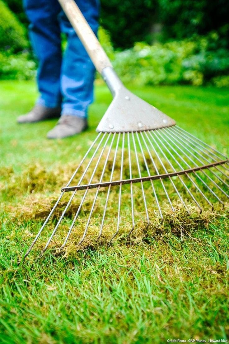 Garden Maintenance