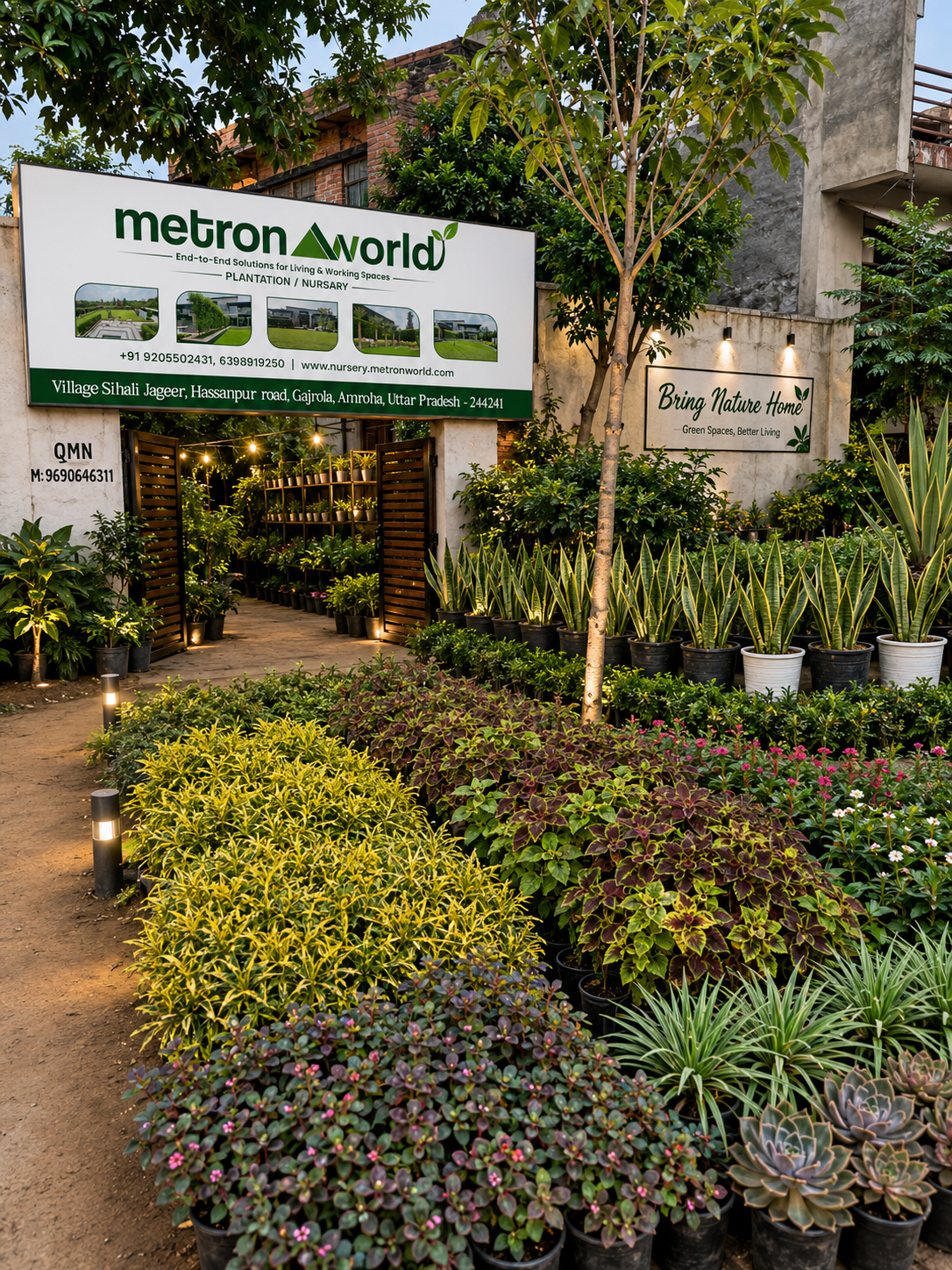 Premium Nursery Plants & Landscaping Services in Delhi NCR | Metron World Nursery