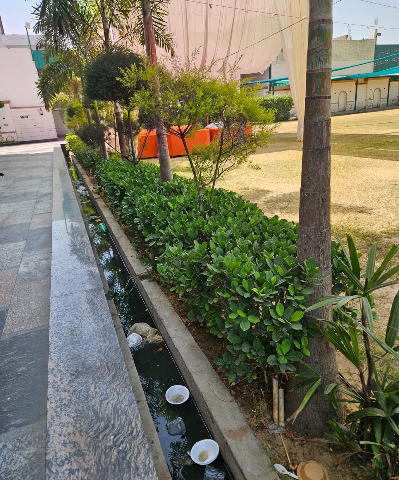 Tree Plantation Drive & Services