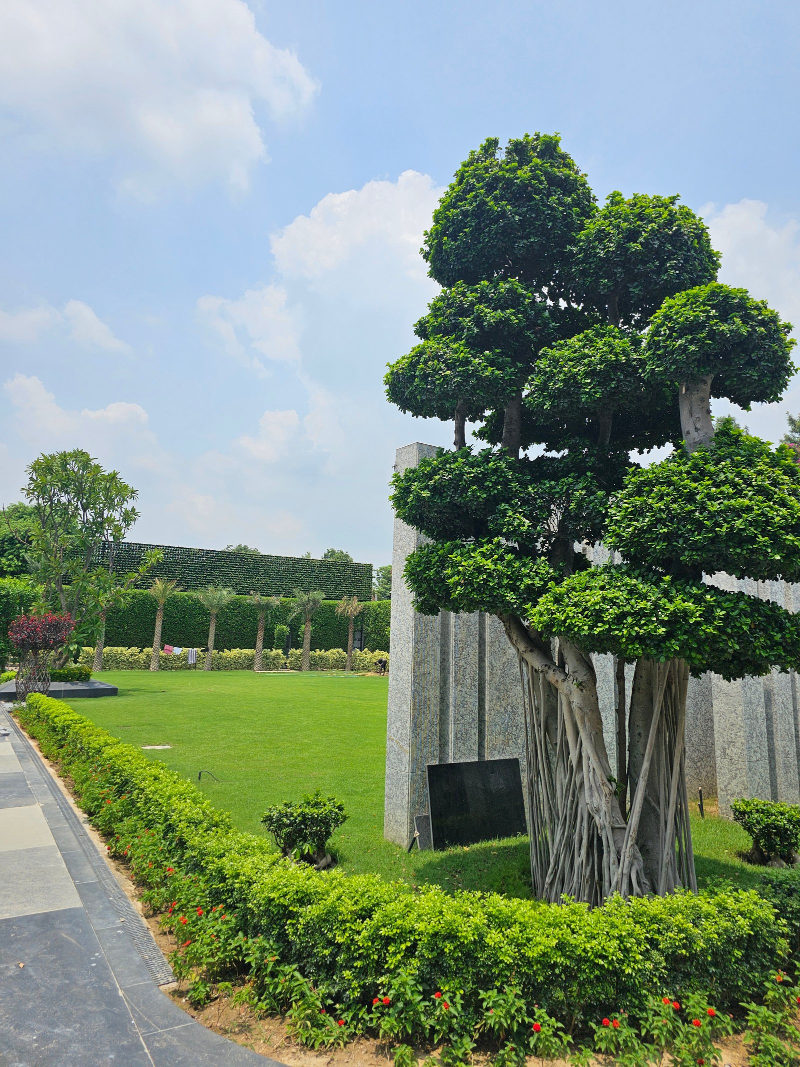Palm-lined lawn project