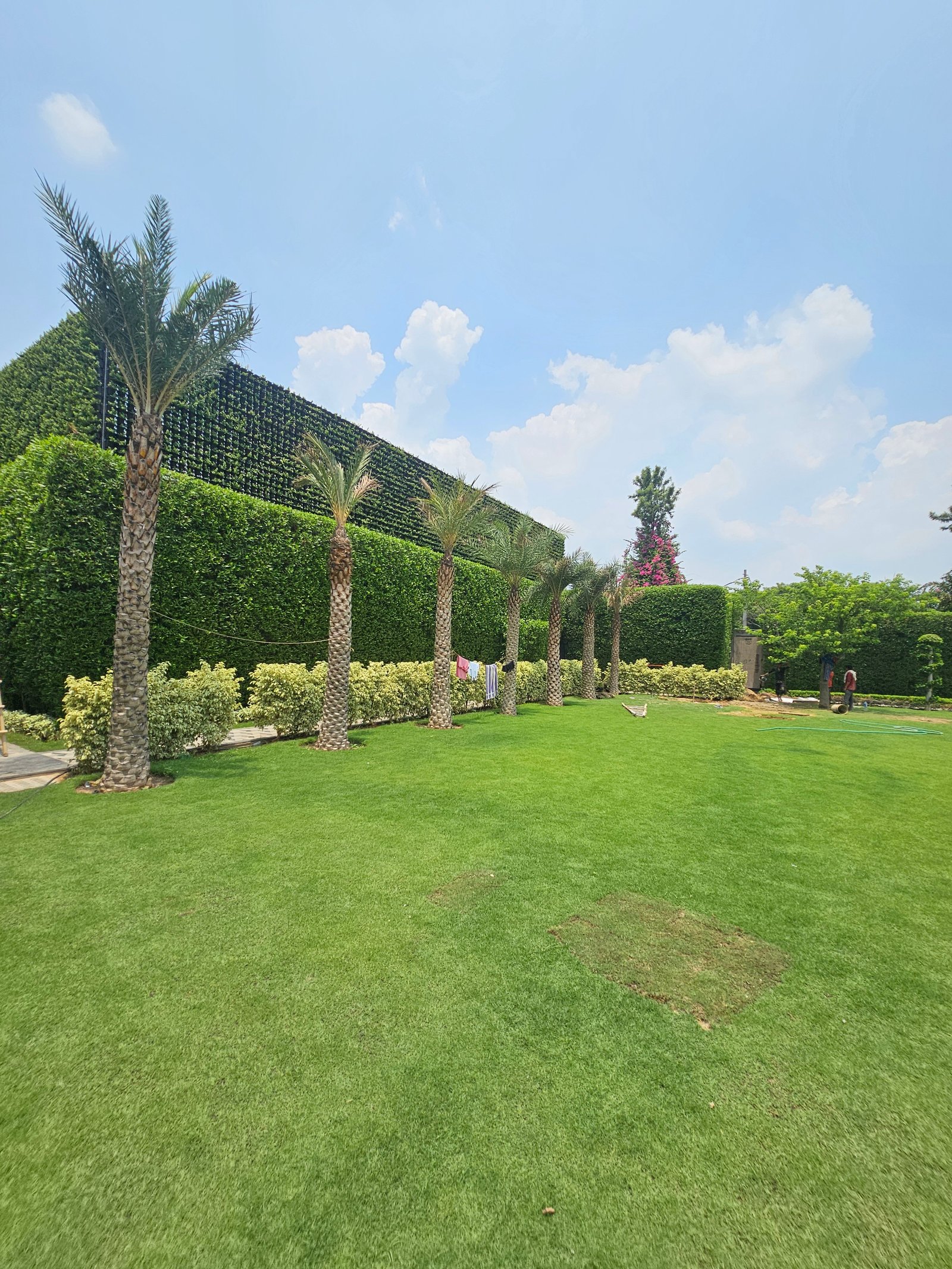 Garden Development
