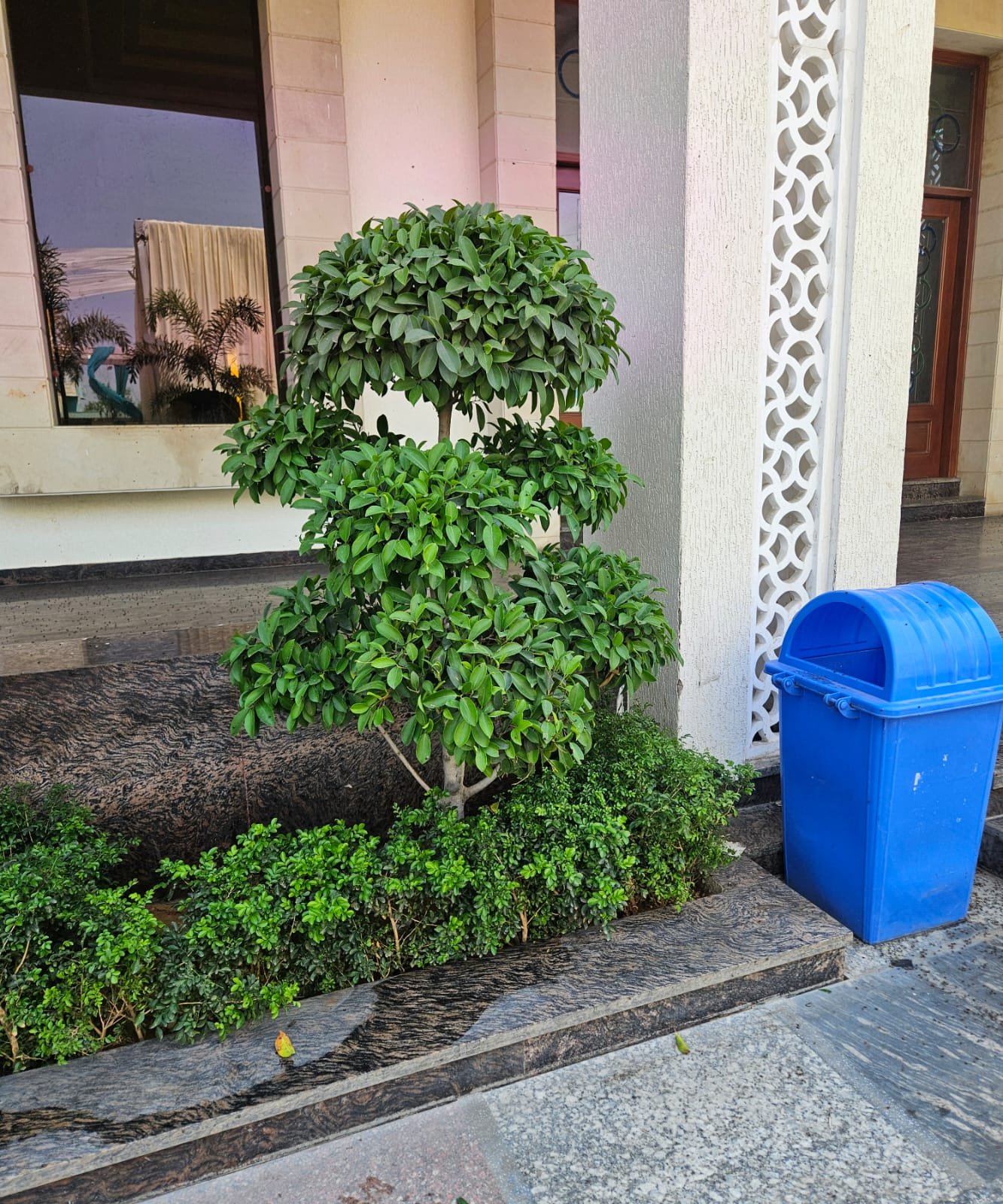 Tree Plantation Drive & Services