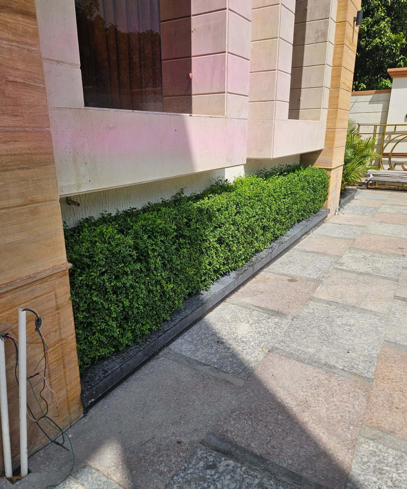 Tree Plantation Drive & Services