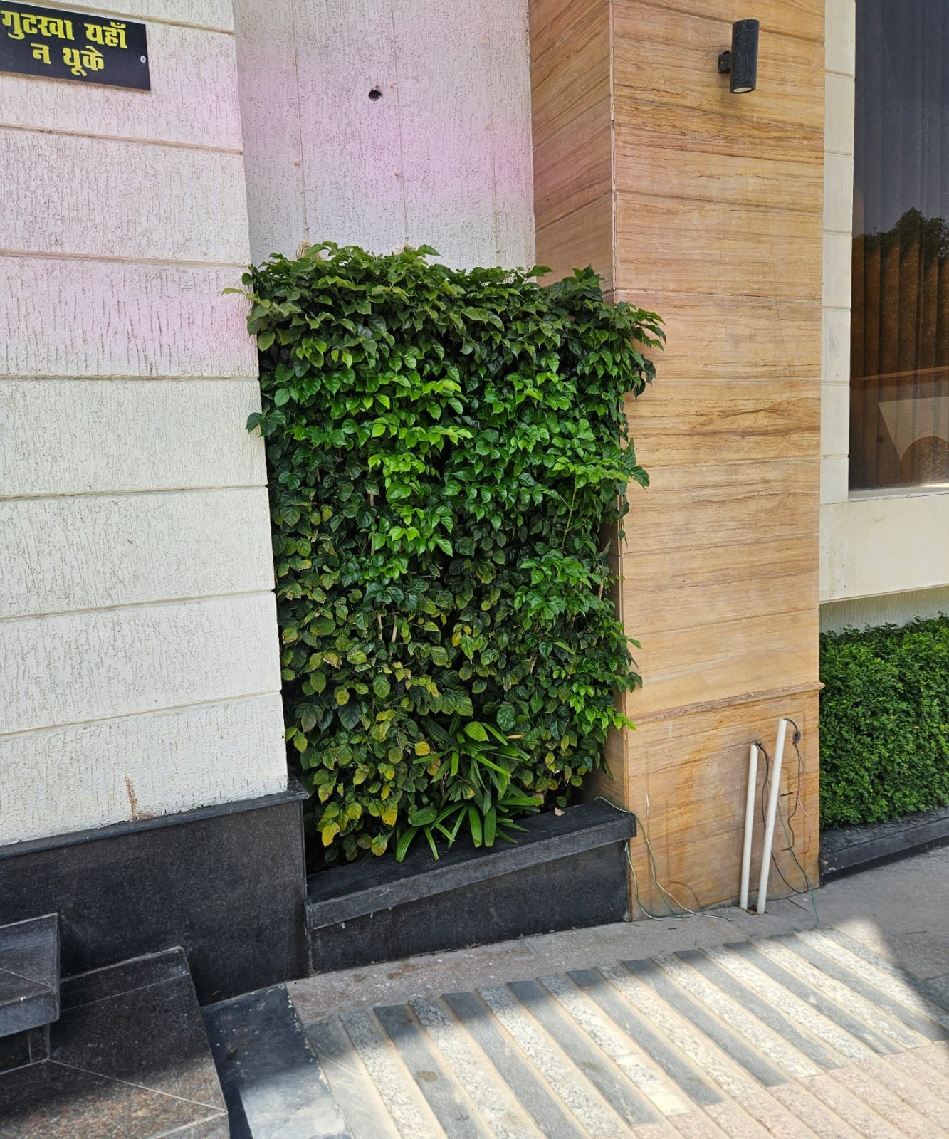 Tree Plantation Drive & Services