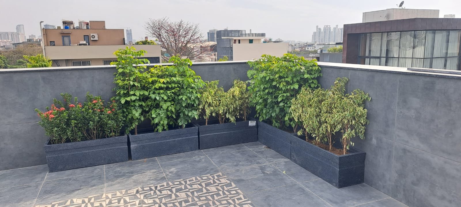 Tree Plantation Drive & Services