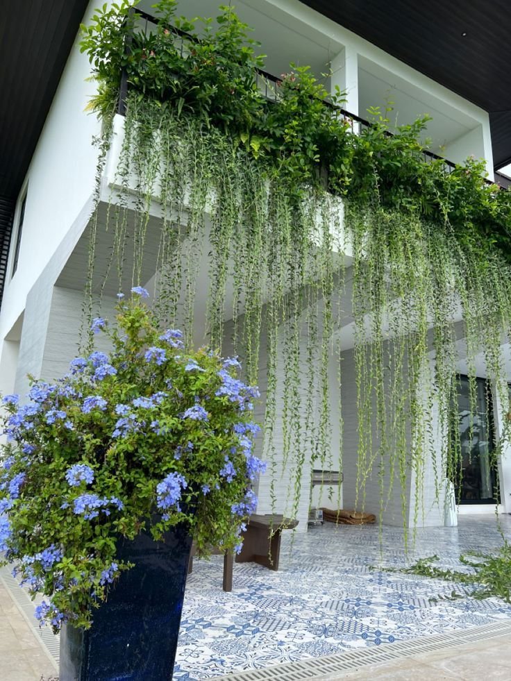Vertical Garden & Hanging Plantation Design for Modern Homes