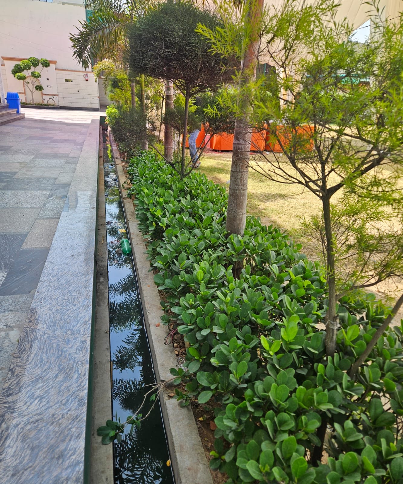 Tree Plantation Drive & Services