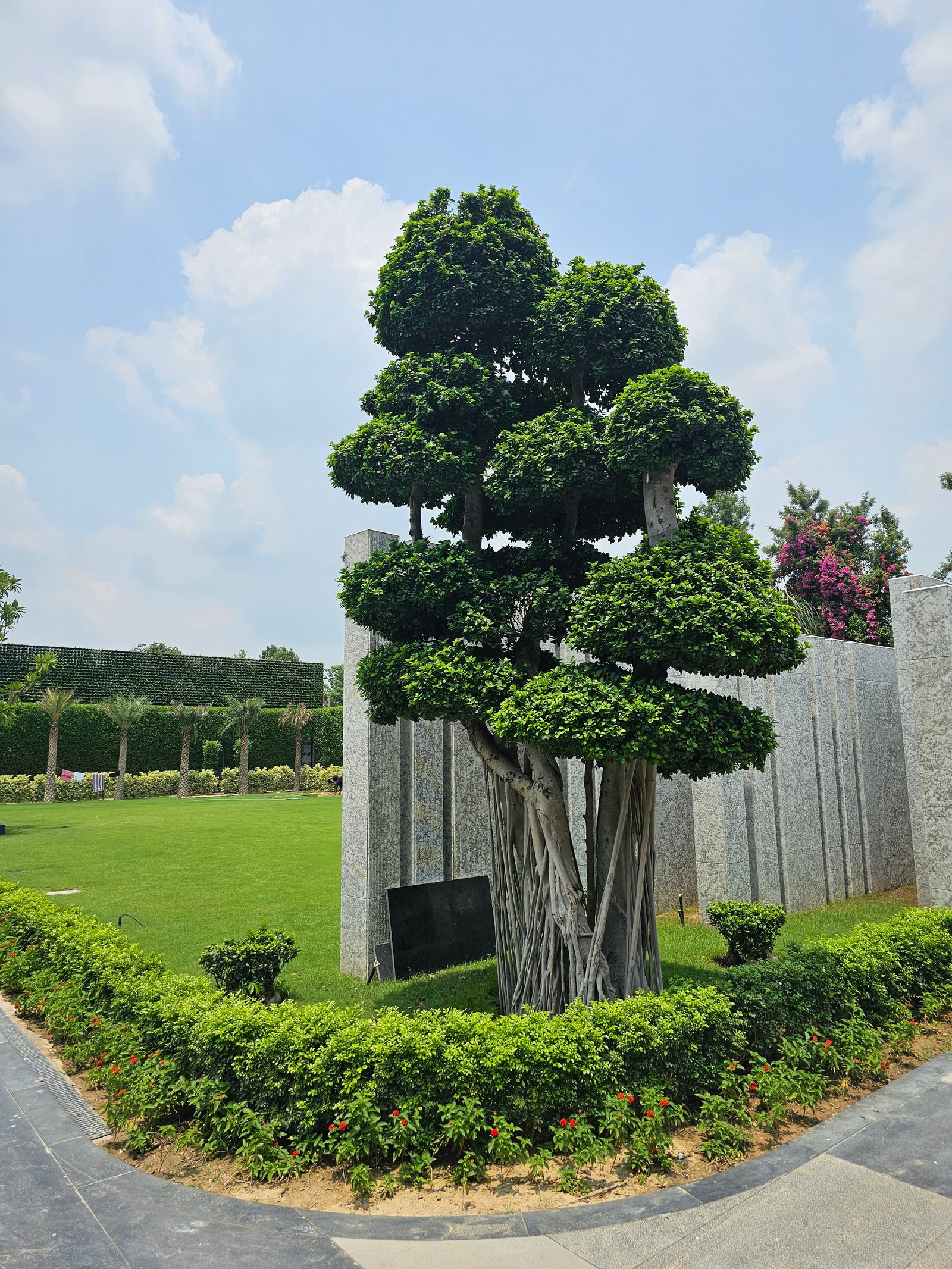 Landscape Design