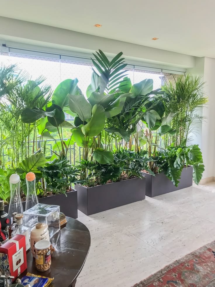 Indoor Plant Landscaping with Modern Planters for Office & Home