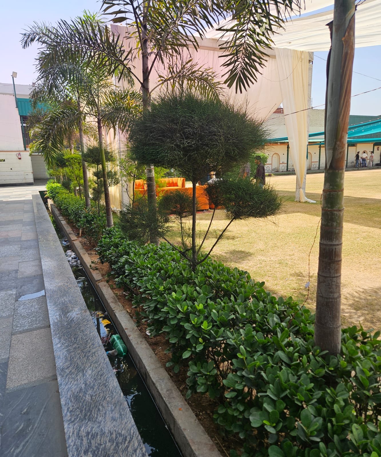Tree Plantation Drive & Services