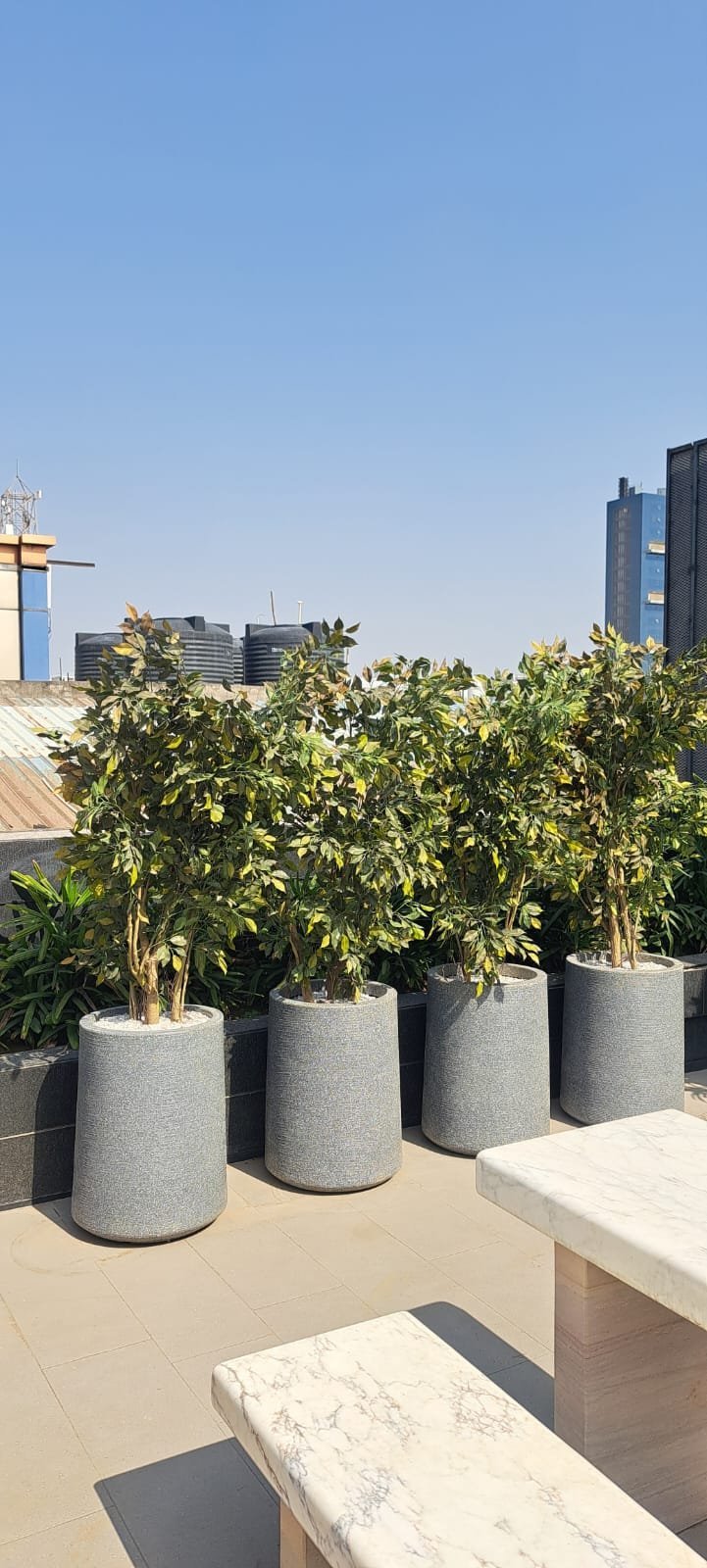 Tree Plantation Drive & Services