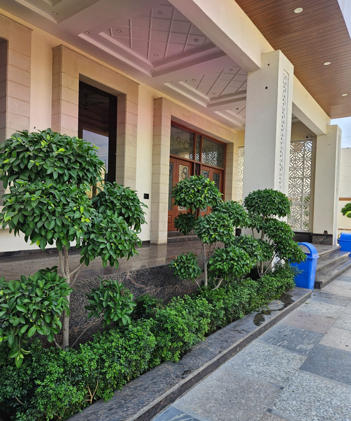 Tree Plantation Drive & Services