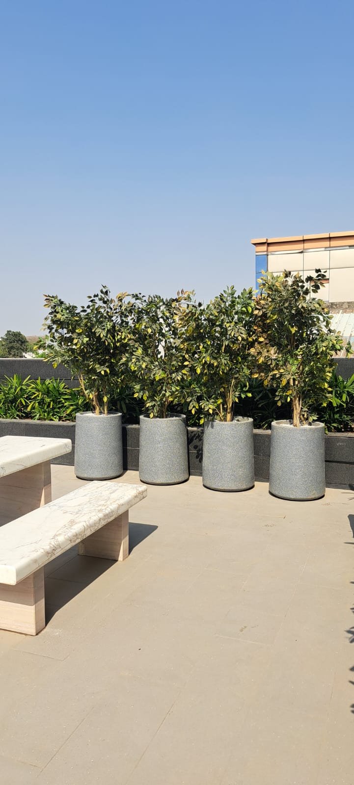 Tree Plantation Drive & Services